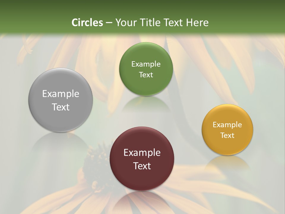 Beauty Spring Background PowerPoint Template