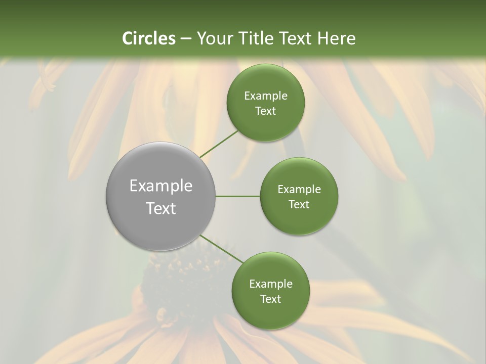 Beauty Spring Background PowerPoint Template