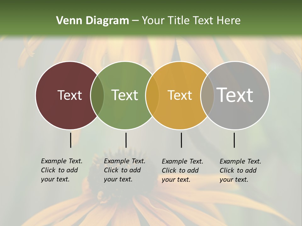 Beauty Spring Background PowerPoint Template