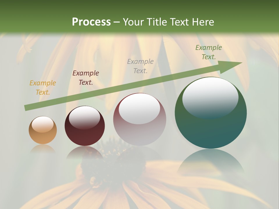 Beauty Spring Background PowerPoint Template