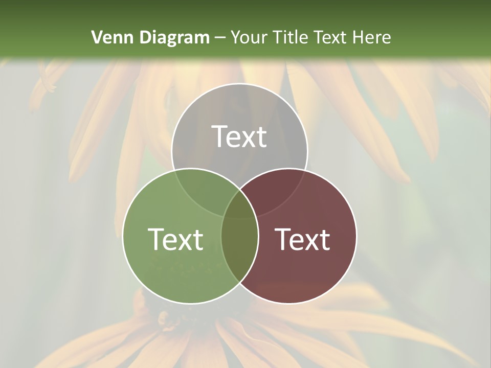 Beauty Spring Background PowerPoint Template