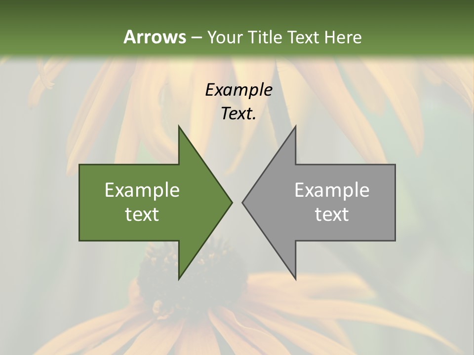 Beauty Spring Background PowerPoint Template