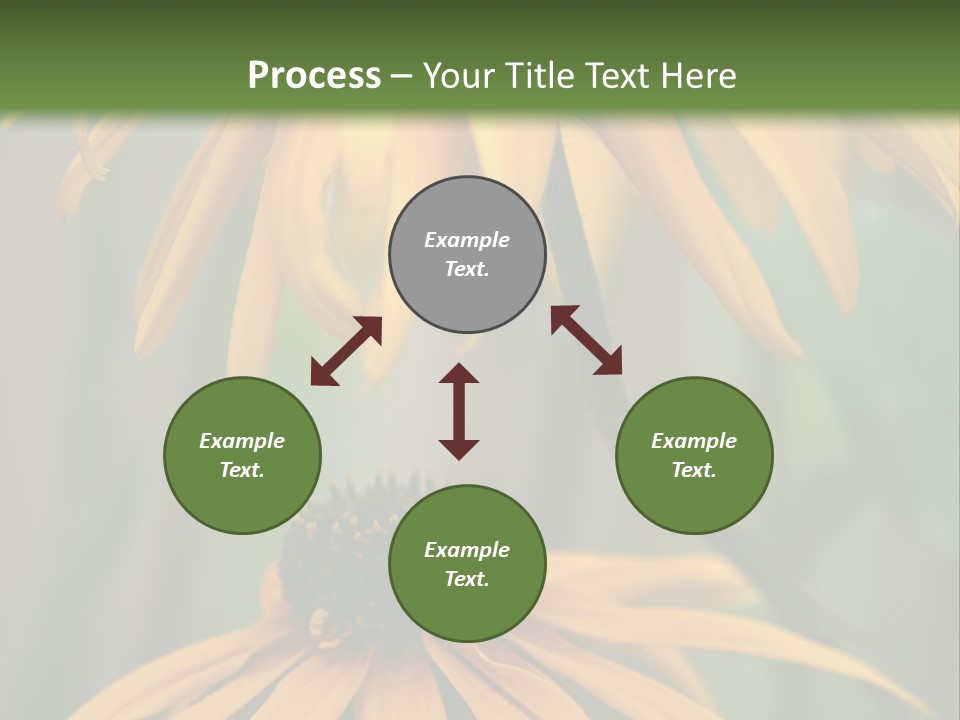 Beauty Spring Background PowerPoint Template