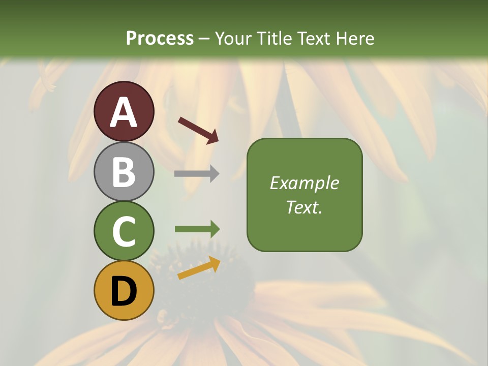 Beauty Spring Background PowerPoint Template