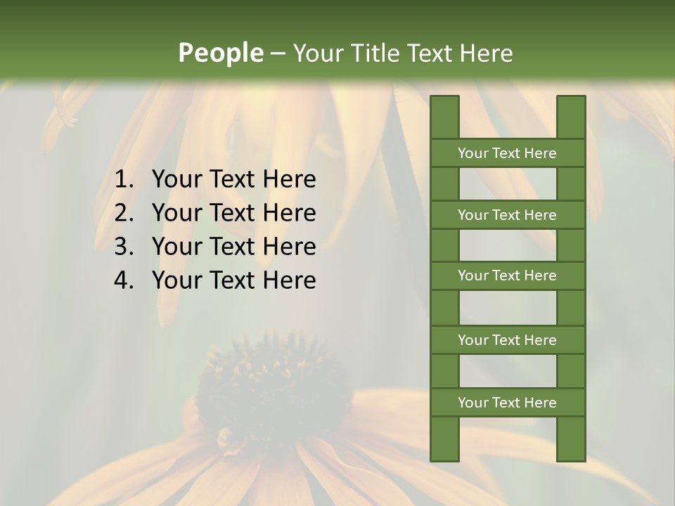 Beauty Spring Background PowerPoint Template