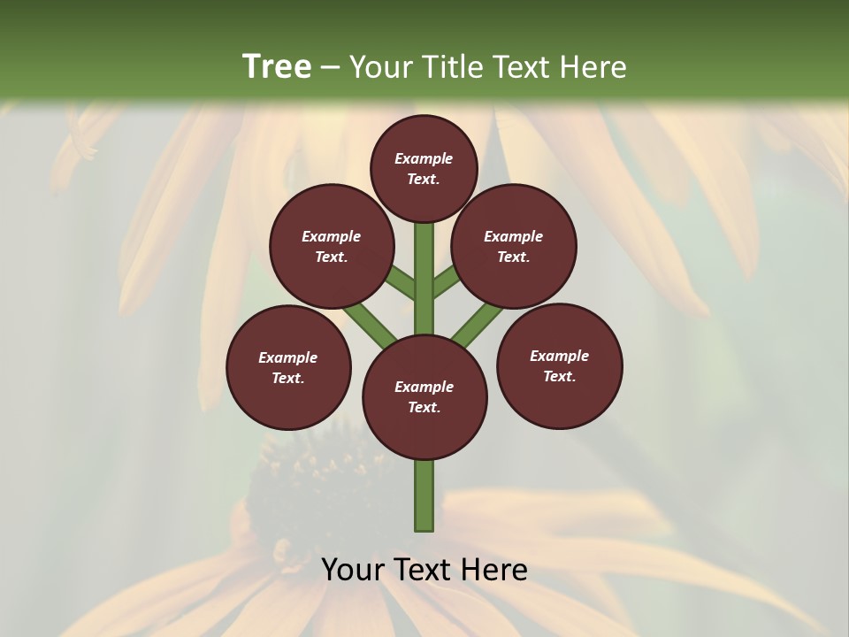 Beauty Spring Background PowerPoint Template