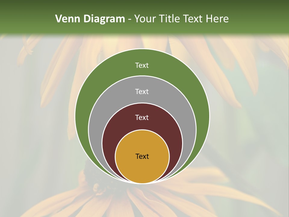 Beauty Spring Background PowerPoint Template