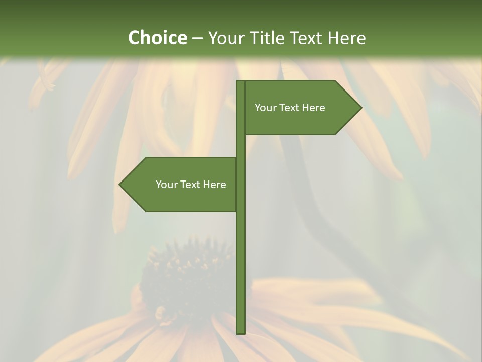 Beauty Spring Background PowerPoint Template