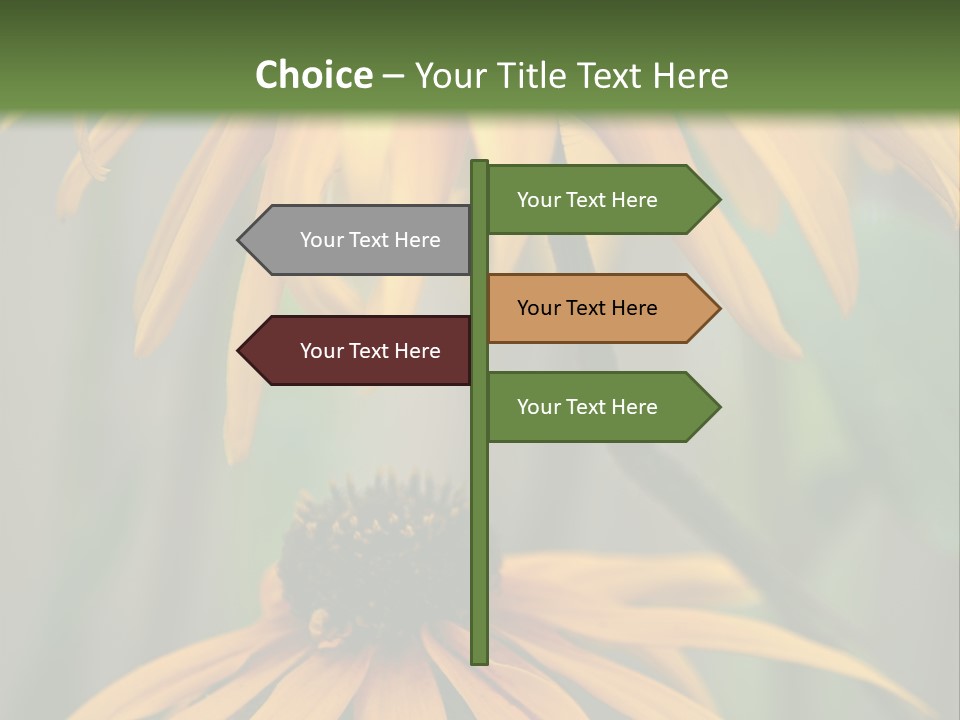 Beauty Spring Background PowerPoint Template