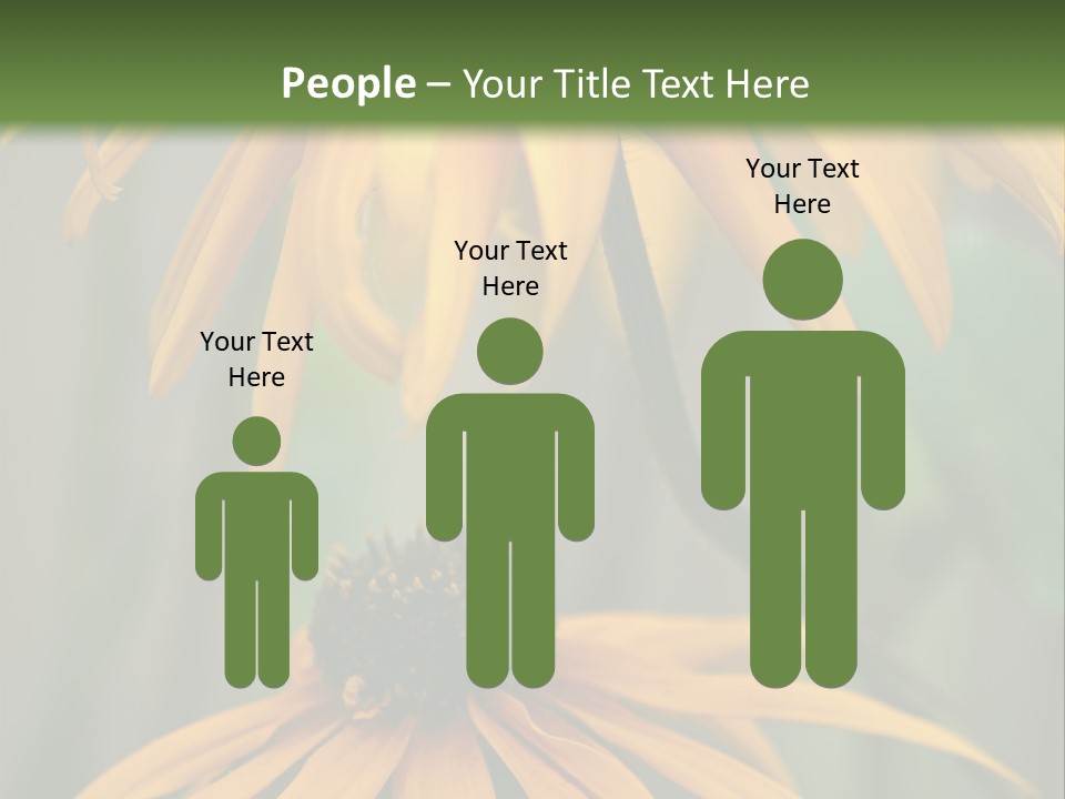 Beauty Spring Background PowerPoint Template