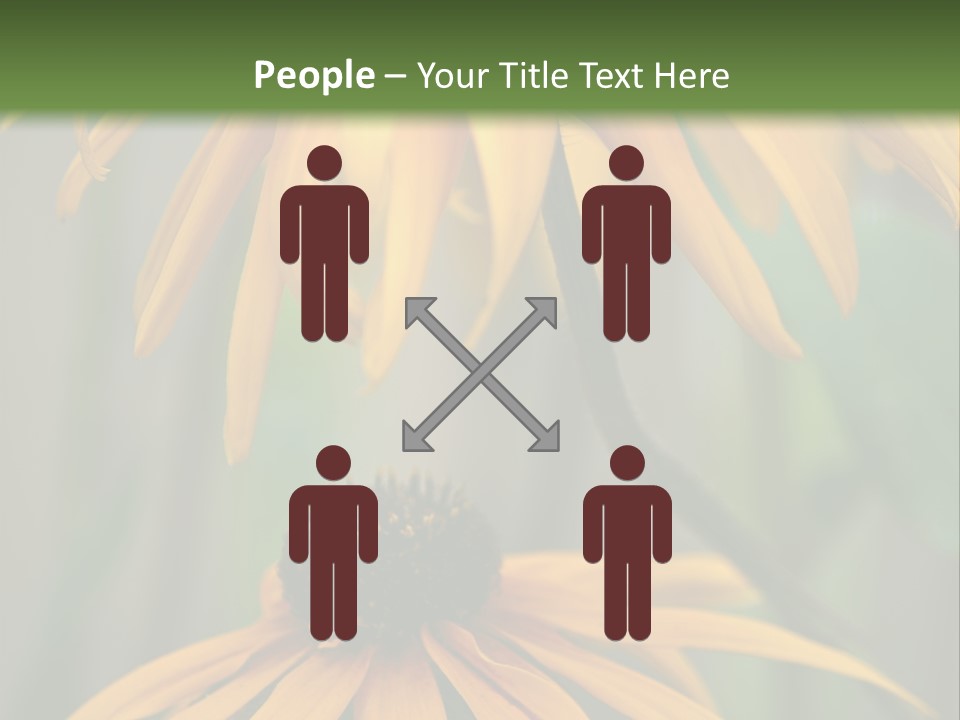 Beauty Spring Background PowerPoint Template