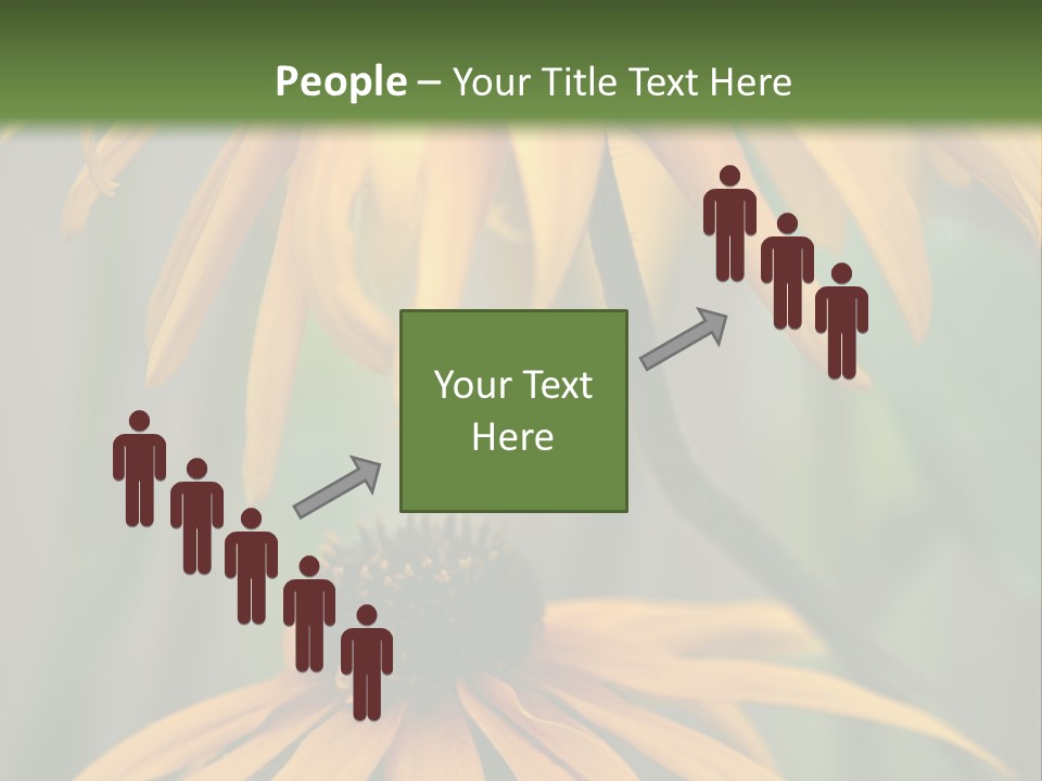 Beauty Spring Background PowerPoint Template