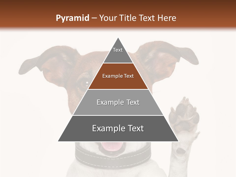 Trick Friendly Holding PowerPoint Template