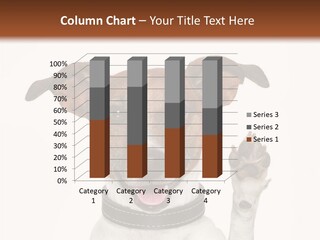 Trick Friendly Holding PowerPoint Template