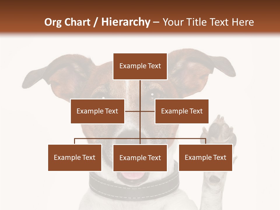 Trick Friendly Holding PowerPoint Template