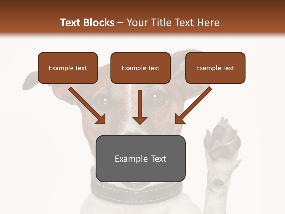 Trick Friendly Holding PowerPoint Template