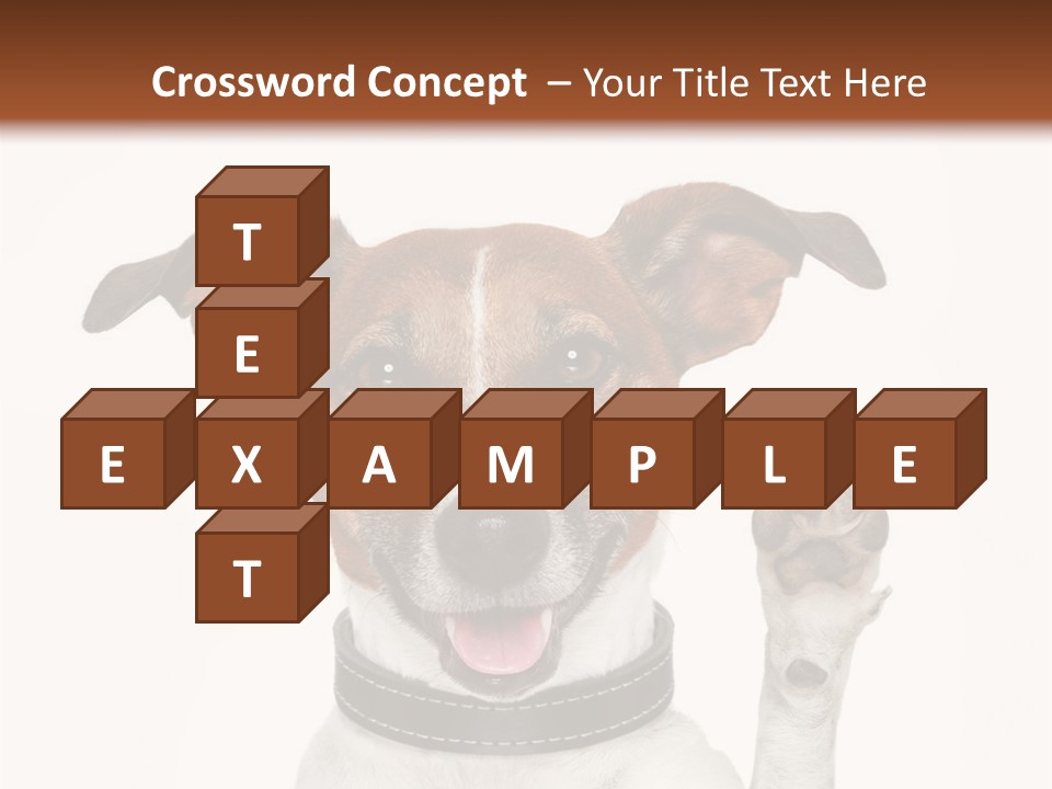 Trick Friendly Holding PowerPoint Template