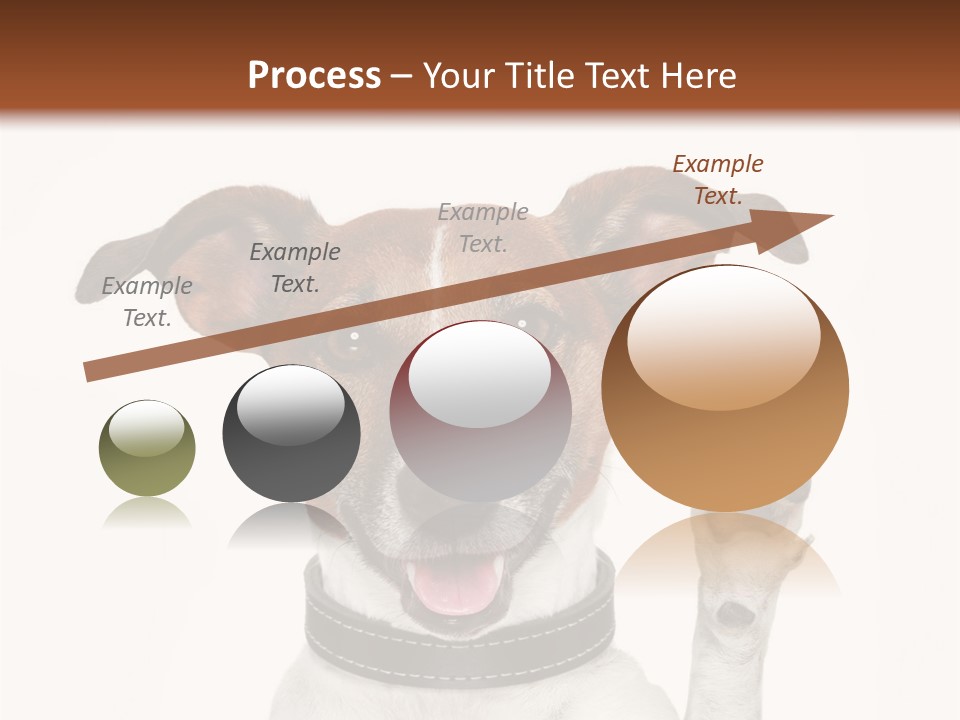 Trick Friendly Holding PowerPoint Template