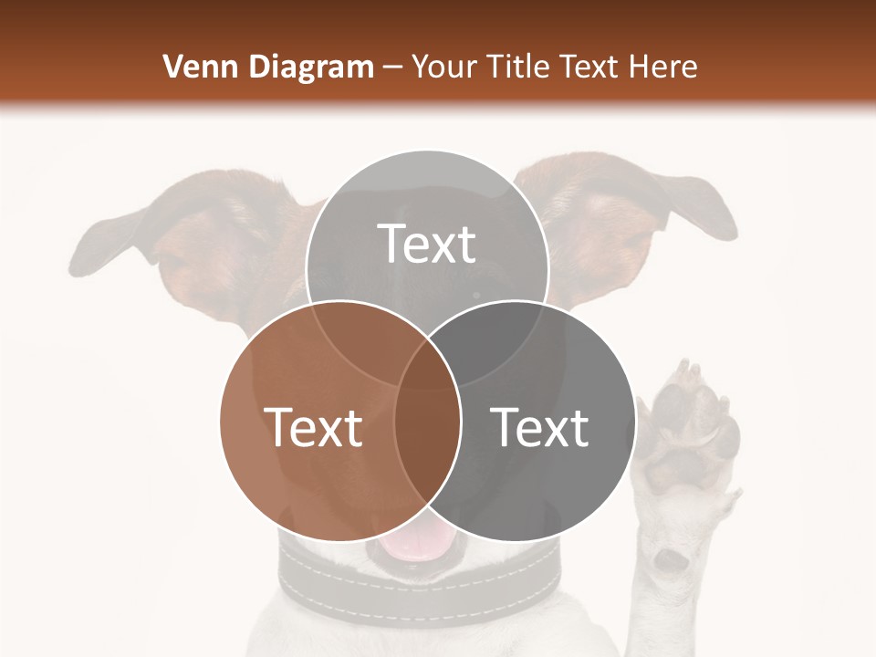 Trick Friendly Holding PowerPoint Template