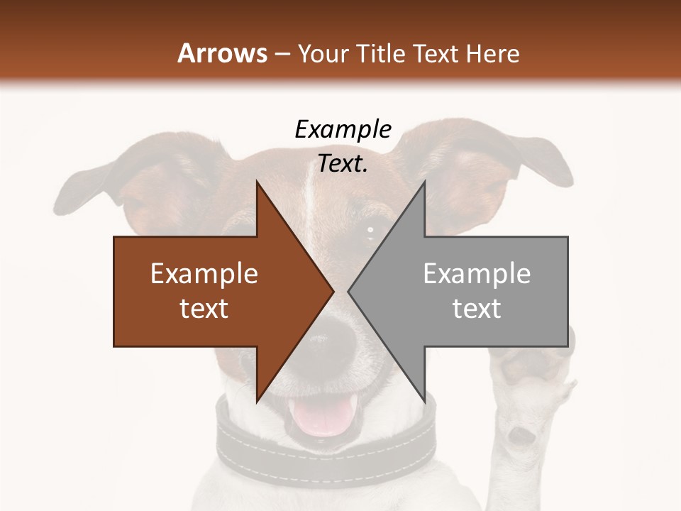 Trick Friendly Holding PowerPoint Template