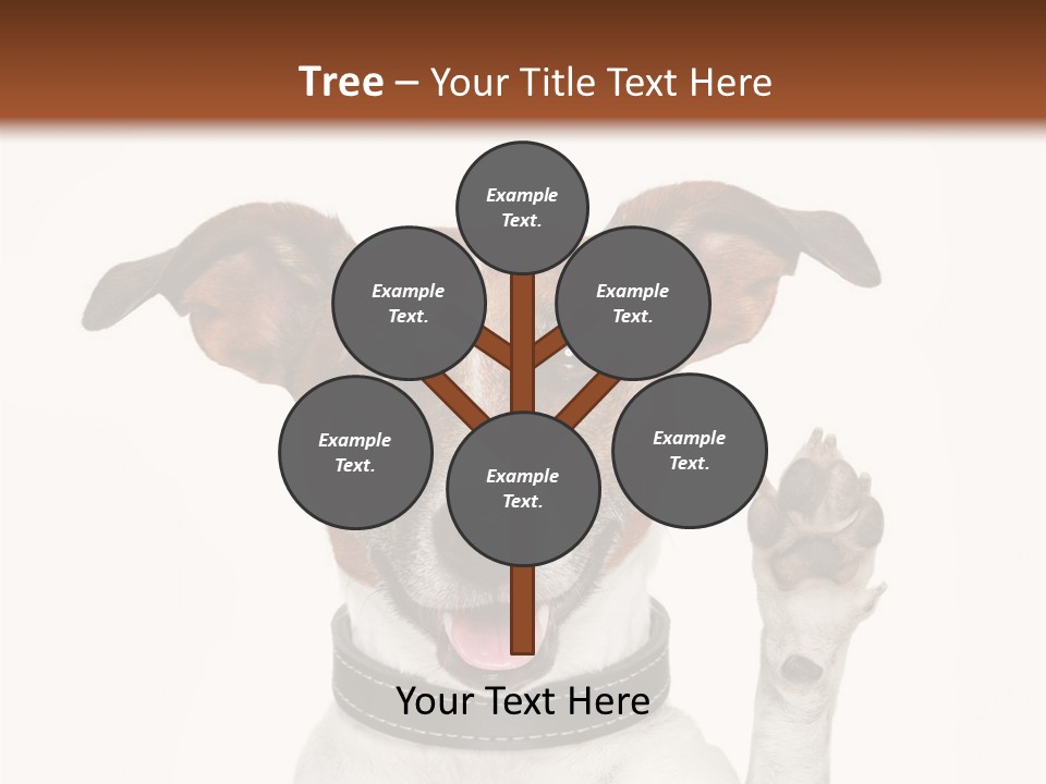 Trick Friendly Holding PowerPoint Template