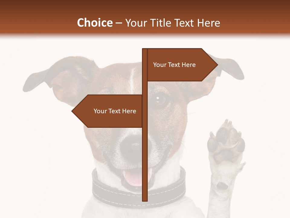 Trick Friendly Holding PowerPoint Template