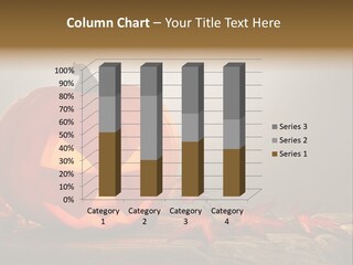 Copy Holidays Anger PowerPoint Template