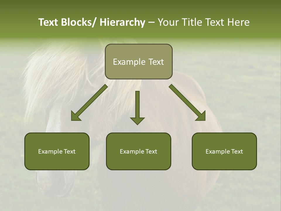 Field Running Moving PowerPoint Template