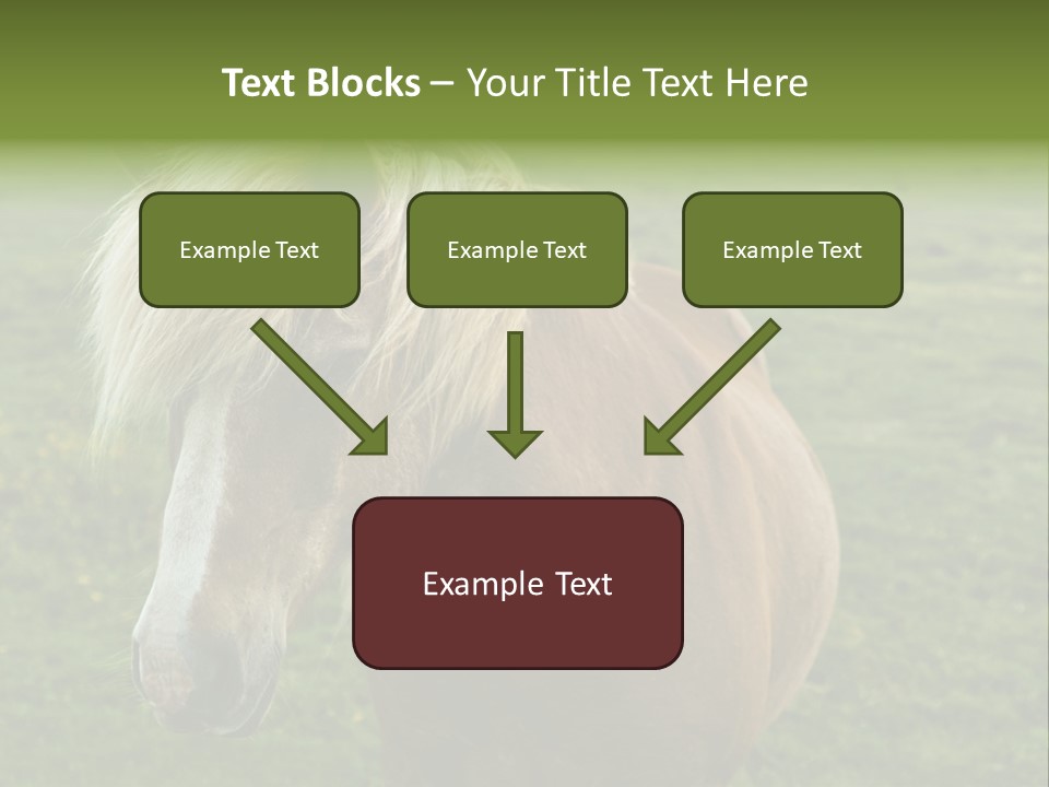 Field Running Moving PowerPoint Template
