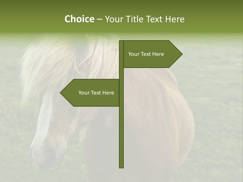 Field Running Moving PowerPoint Template