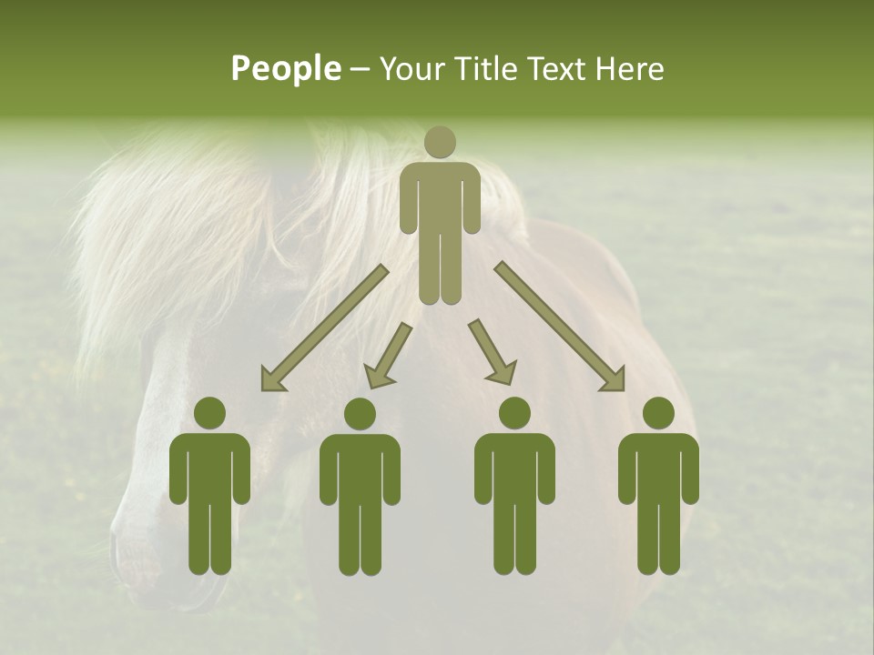 Field Running Moving PowerPoint Template