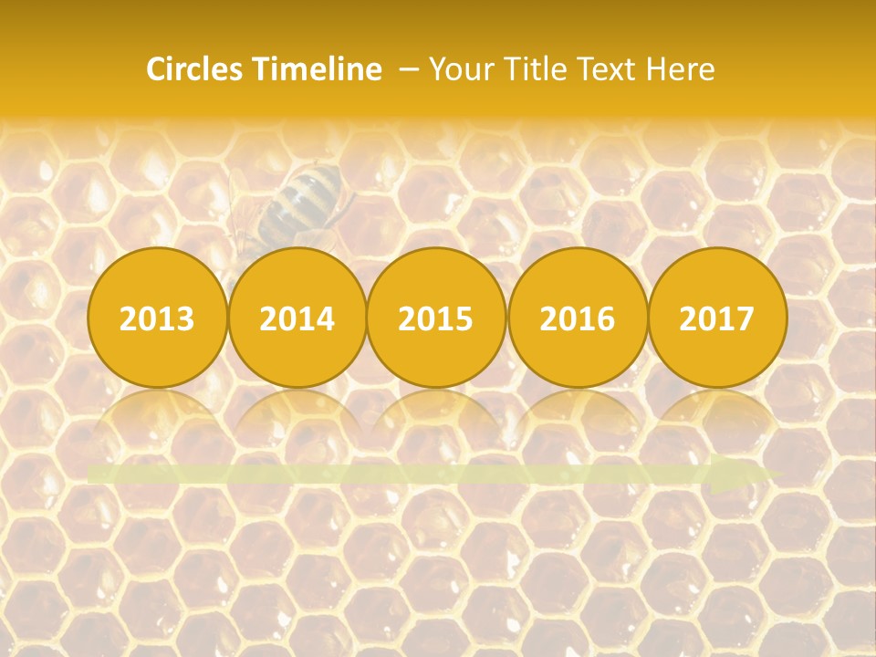 Efficiency Sugar Cell PowerPoint Template