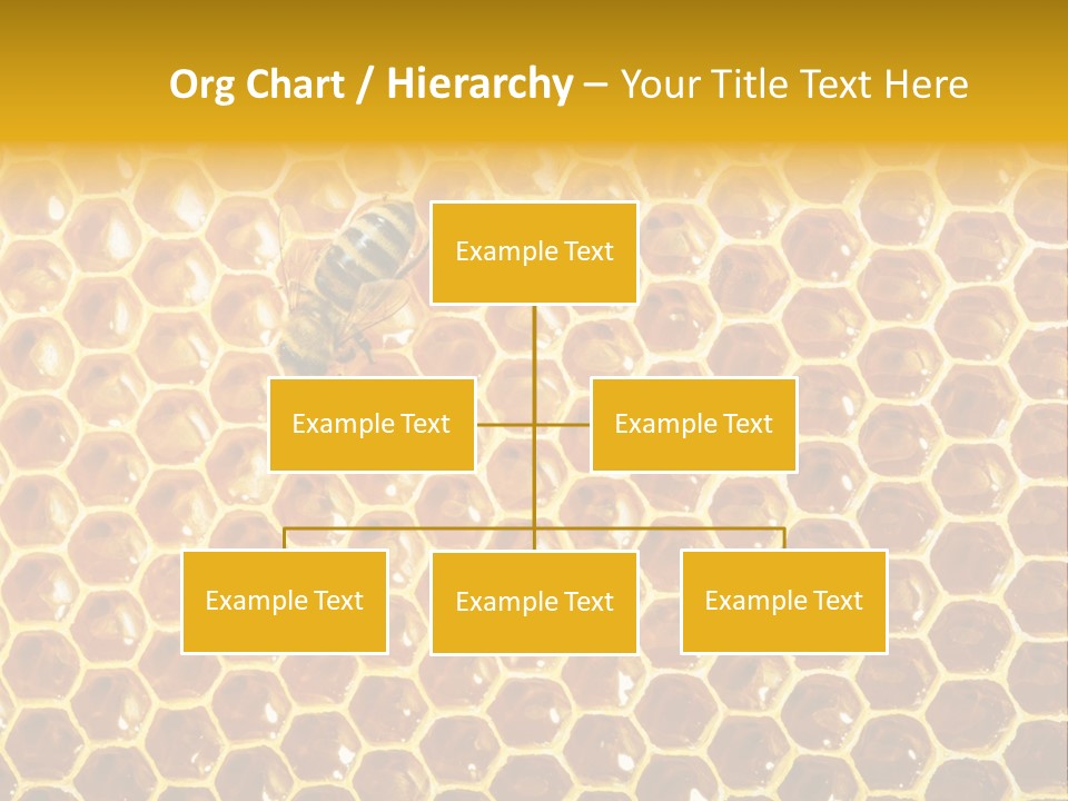Efficiency Sugar Cell PowerPoint Template