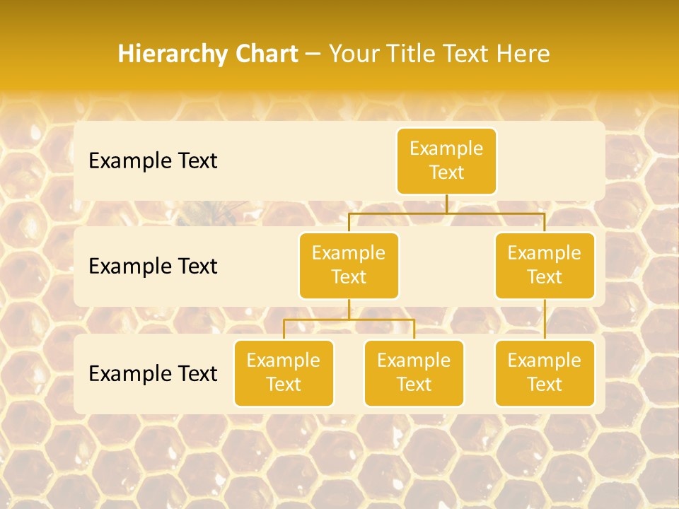 Efficiency Sugar Cell PowerPoint Template