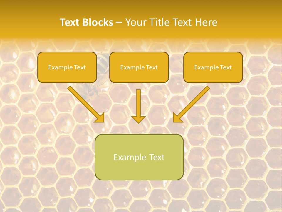 Efficiency Sugar Cell PowerPoint Template