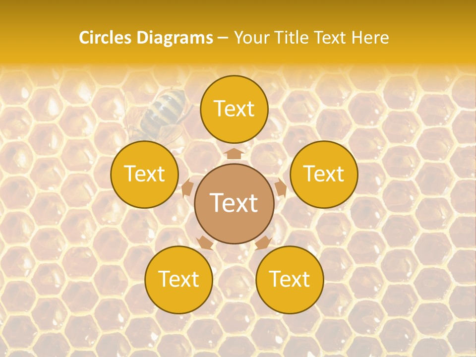 Efficiency Sugar Cell PowerPoint Template