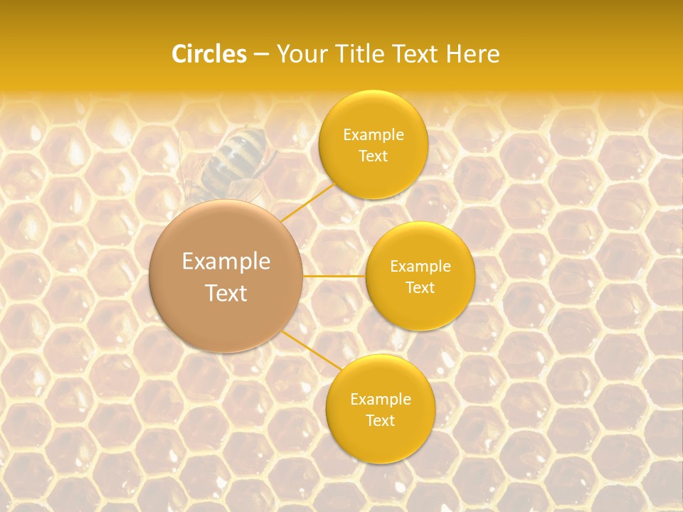 Efficiency Sugar Cell PowerPoint Template