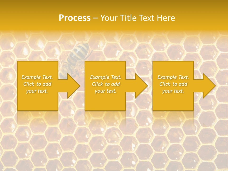 Efficiency Sugar Cell PowerPoint Template