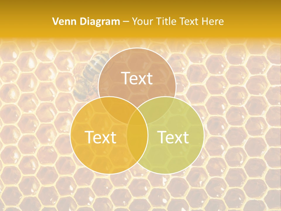 Efficiency Sugar Cell PowerPoint Template