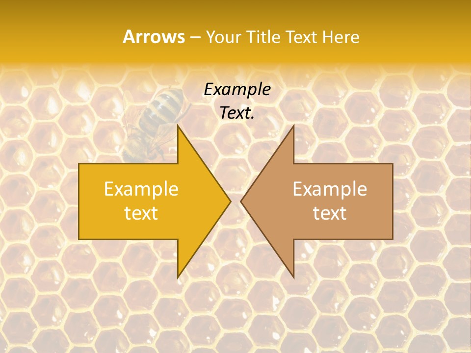 Efficiency Sugar Cell PowerPoint Template