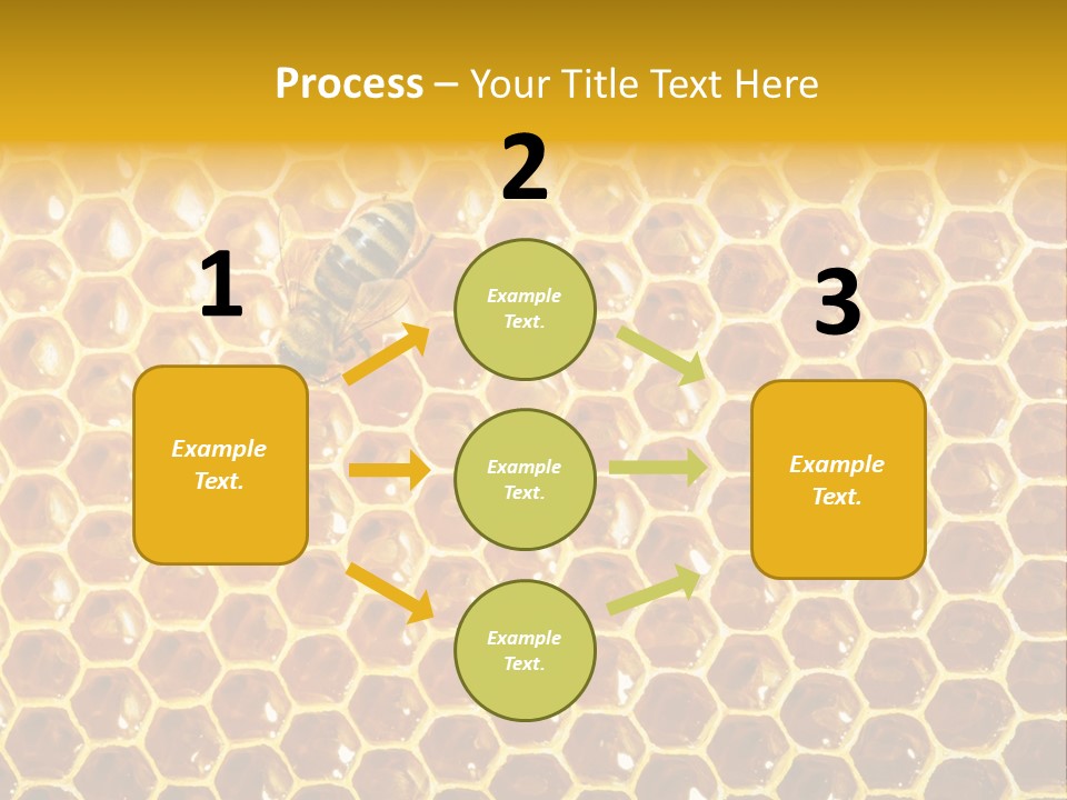 Efficiency Sugar Cell PowerPoint Template
