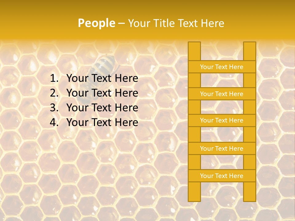 Efficiency Sugar Cell PowerPoint Template
