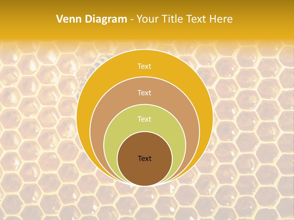 Efficiency Sugar Cell PowerPoint Template
