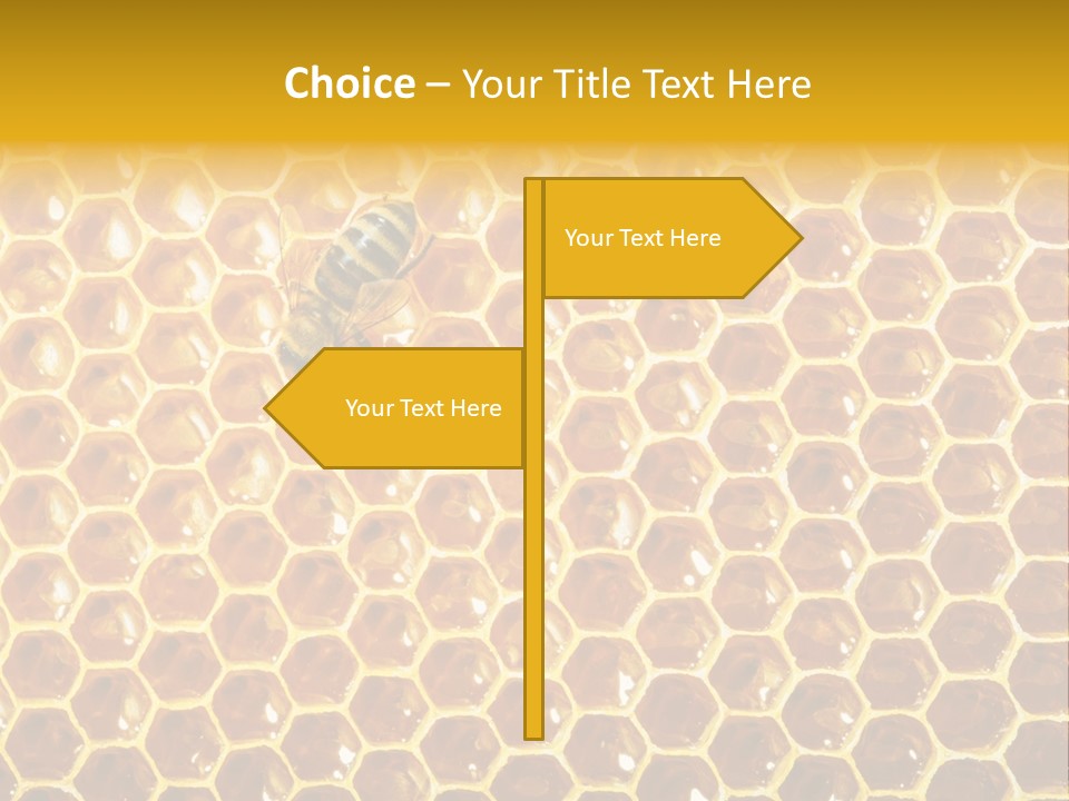 Efficiency Sugar Cell PowerPoint Template