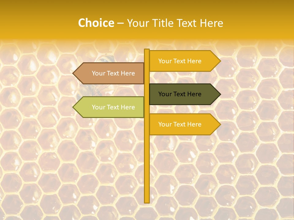Efficiency Sugar Cell PowerPoint Template