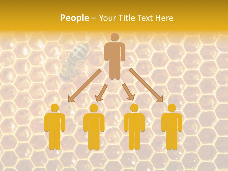 Efficiency Sugar Cell PowerPoint Template