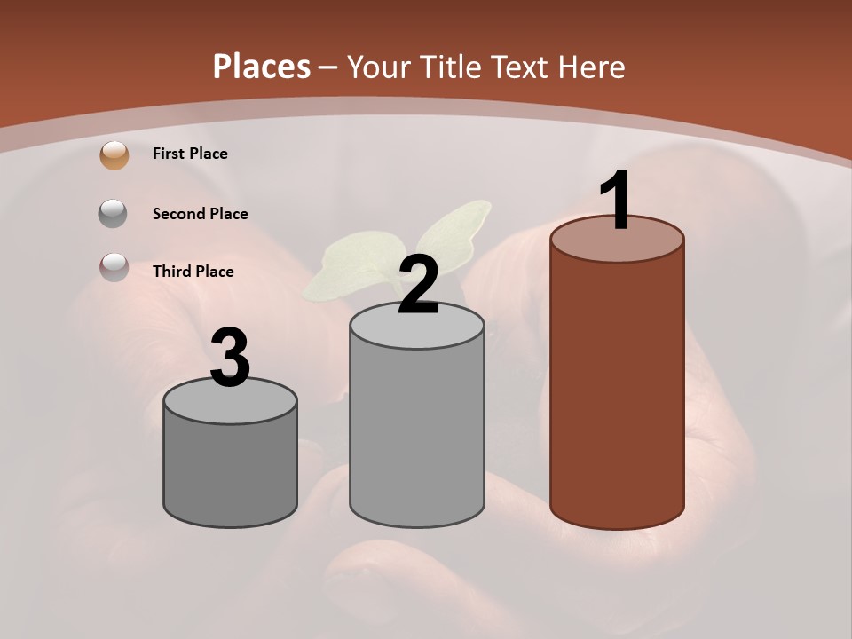 Spring Seedling Gardening PowerPoint Template