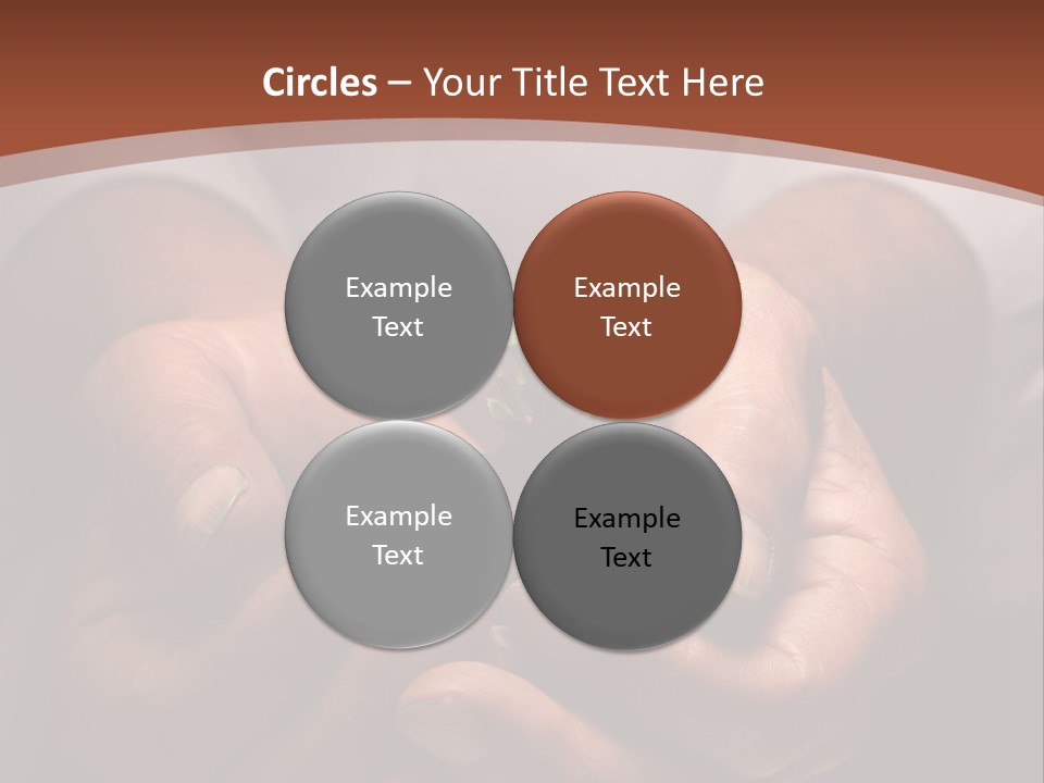 Spring Seedling Gardening PowerPoint Template