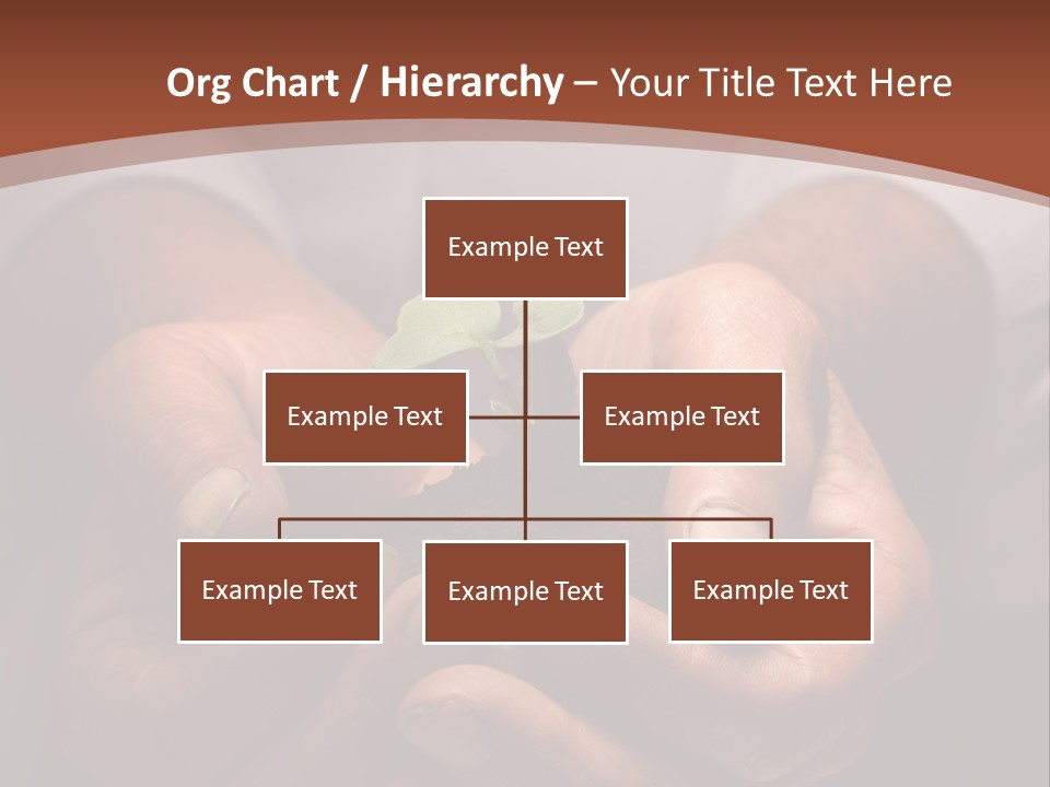 Spring Seedling Gardening PowerPoint Template