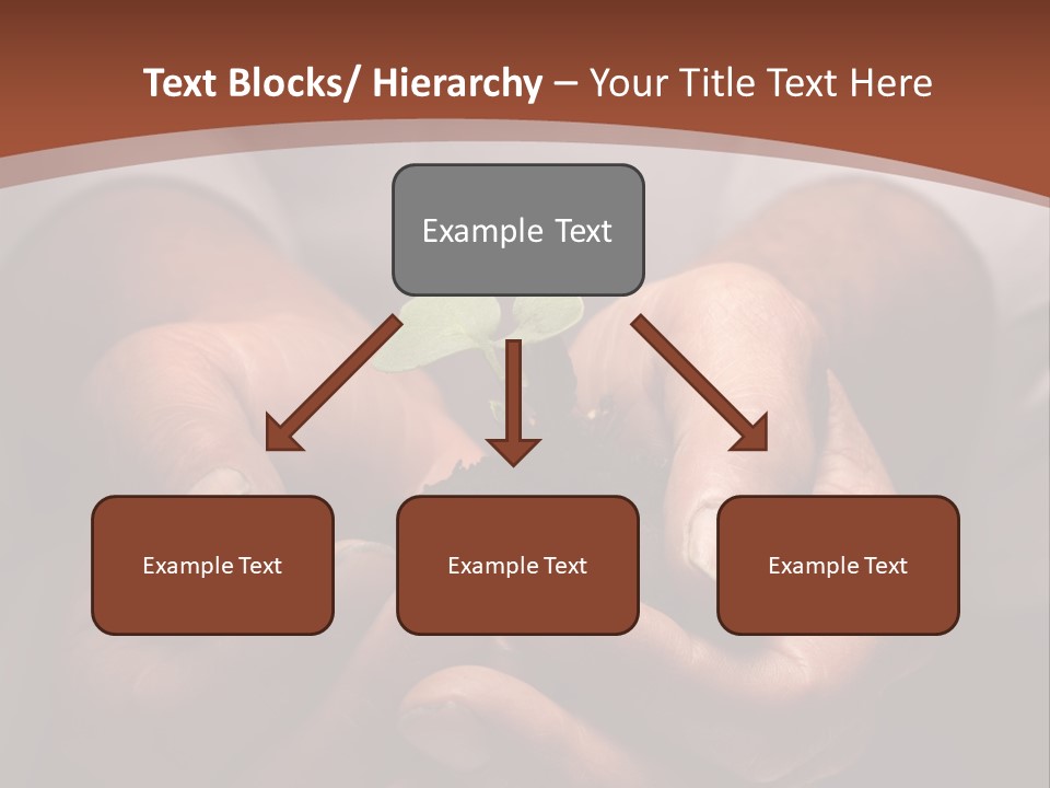 Spring Seedling Gardening PowerPoint Template